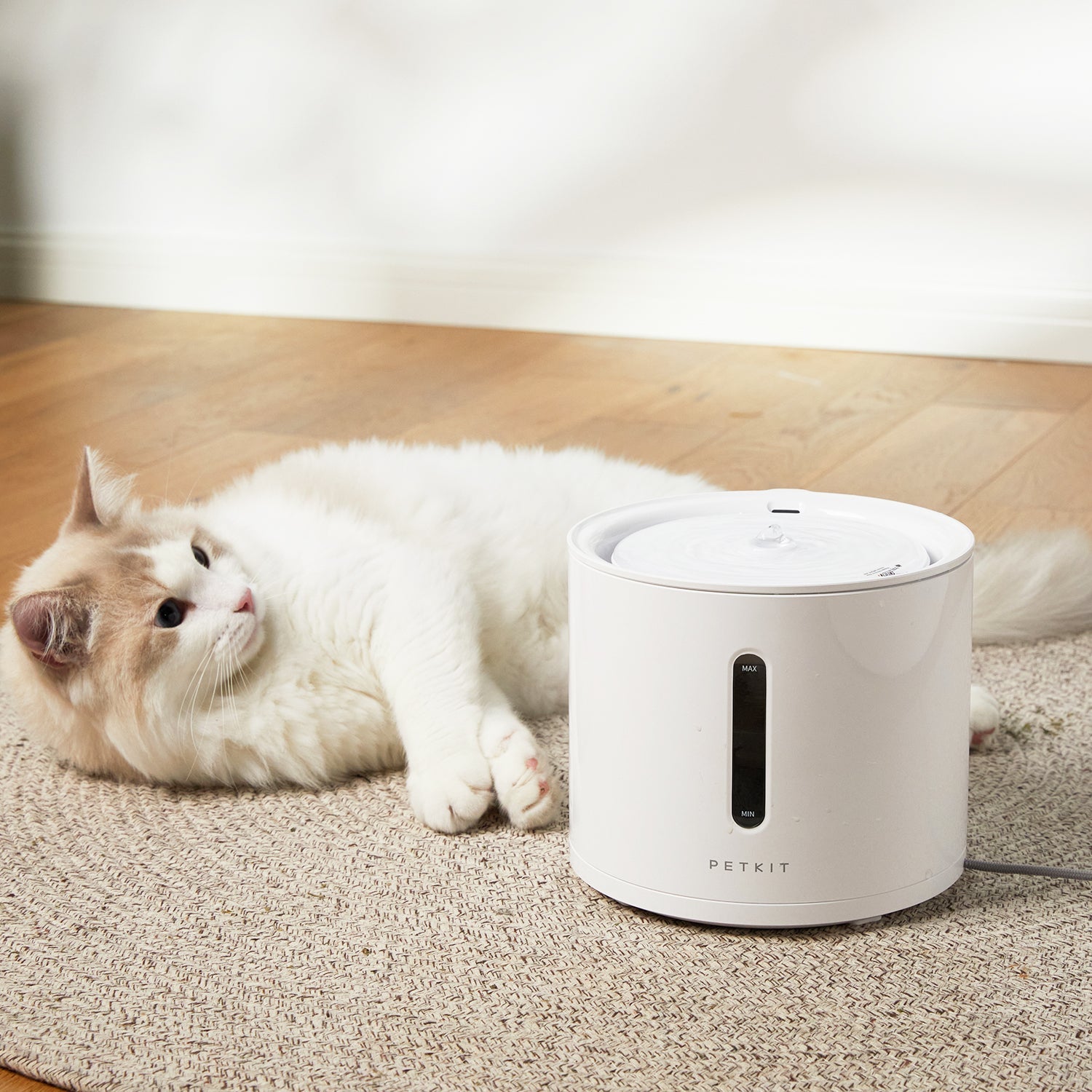 EVERSWEET Solo 2 (Wireless Pumpe)