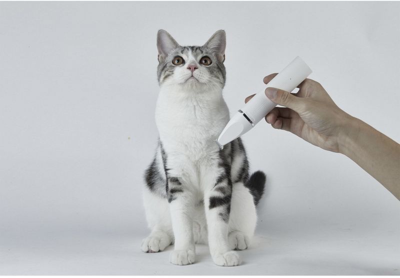 Wasserdichter 2 in 1 Haustiertrimmer PRO