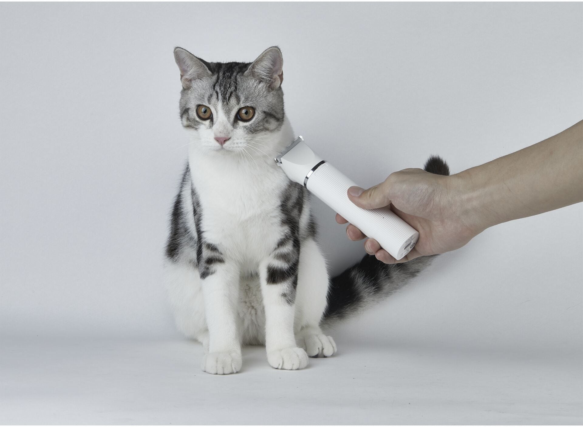 Wasserdichter 2 in 1 Haustiertrimmer PRO